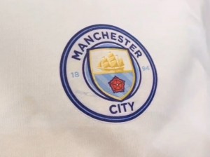 UV printable vinyl HTV-300S1