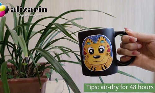 qallaji 48 saacadood WSSL-300