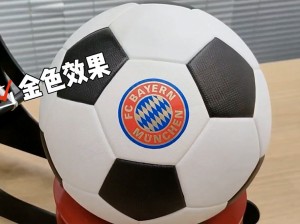 足球Logo 金色靓贴